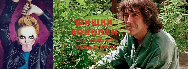 ПСИЛОЦИБИНОВЫЕ ГРИБЫ Медногорск