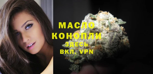 хмурый Мегион