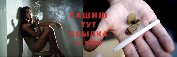 хмурый Мегион