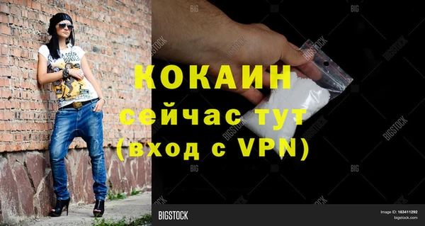 хмурый Мегион
