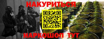 apvp Гусь-Хрустальный