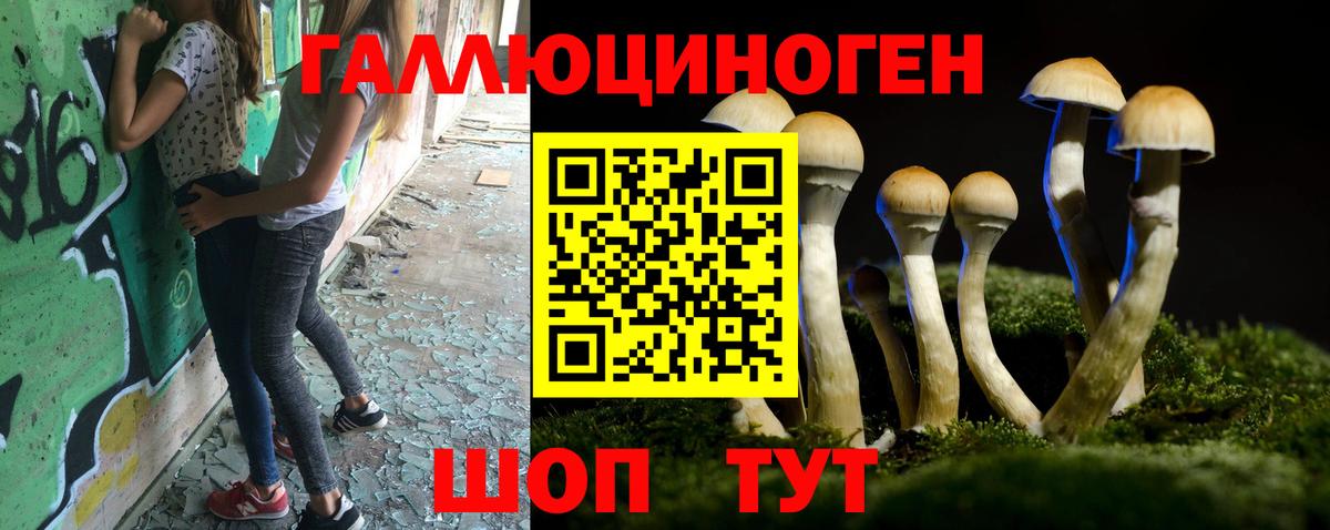 Галлюциногенные грибы мицелий Конаково
