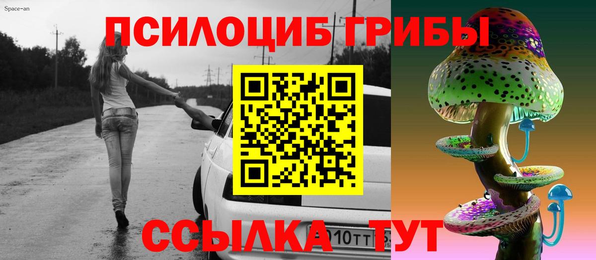 Псилоцибиновые грибы Psilocybine cubensis  Галлюциногенные грибы Psilocybine cubensis  Вход с VPN  Конаково 